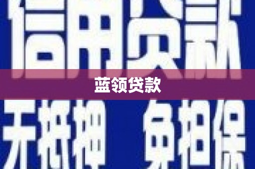 东平蓝领贷款