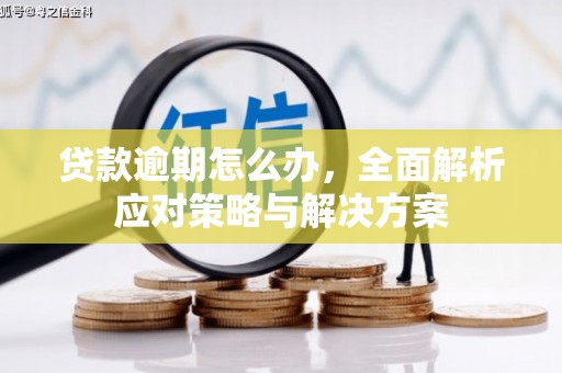 岷县贷款逾期怎么办，全面解析应对策略与解决方案