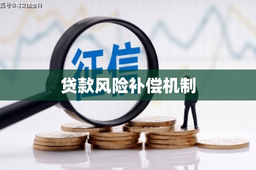 阜新贷款风险补偿机制