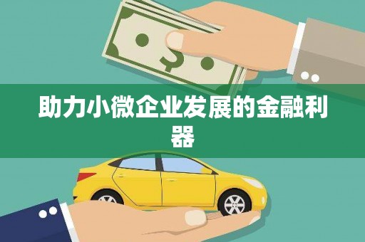 攀枝花助力小微企业发展的金融利器