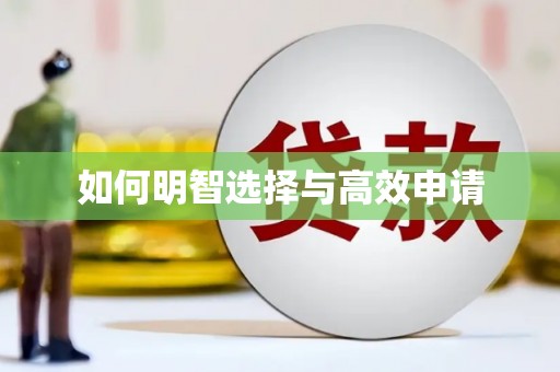 自流井如何明智选择与高效申请