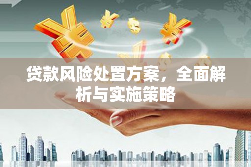 定远贷款风险处置方案，全面解析与实施策略