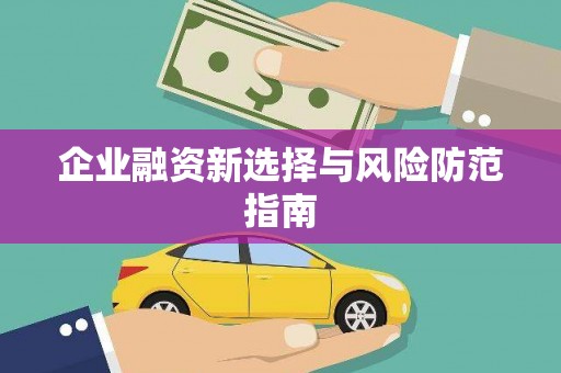 云龙企业融资新选择与风险防范指南