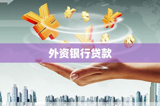 环江外资银行贷款