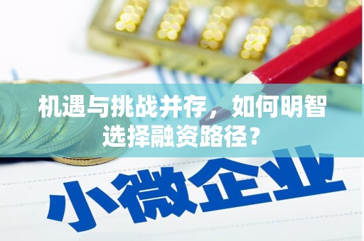 友谊机遇与挑战并存，如何明智选择融资路径？