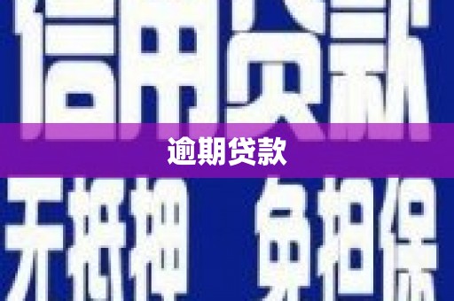 湖北逾期贷款