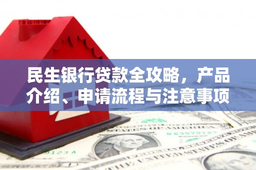 定远民生银行贷款全攻略，产品介绍、申请流程与注意事项